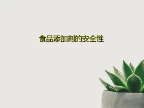 食品添加剂的安全性共38页