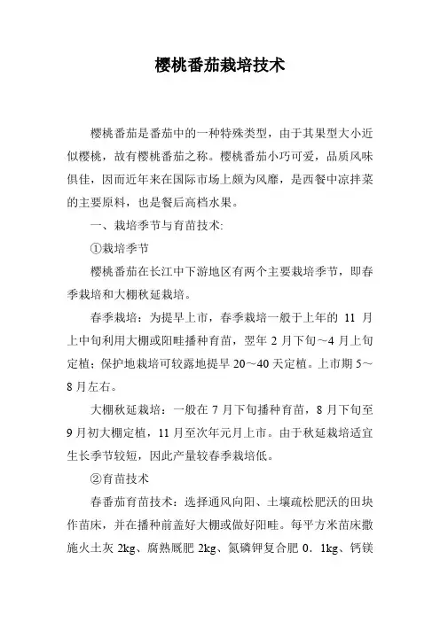樱桃番茄栽培技术