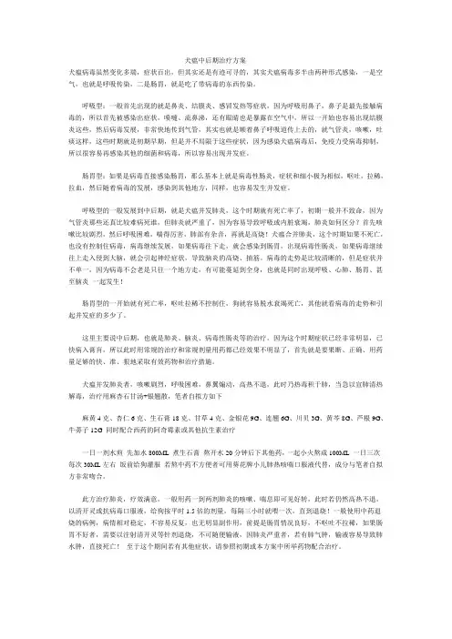 犬瘟中后期治疗