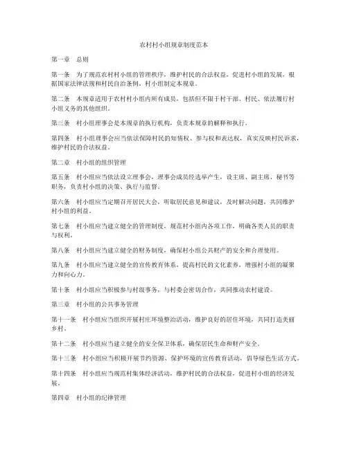 农村村小组规章制度范本