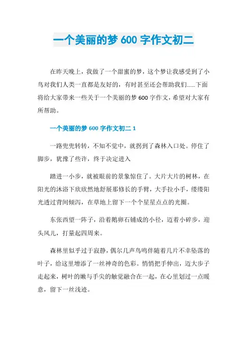 一个美丽的梦600字作文初二
