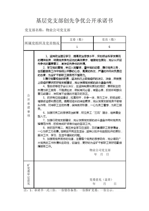 公开承诺表
