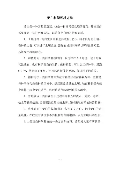 茭白科学种植方法