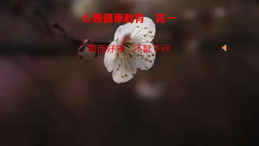 敏而好学不耻下问课件-高一上学期心理健康教育