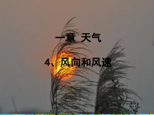 【最新】四年级科学上册 1.4 风向和风速2 