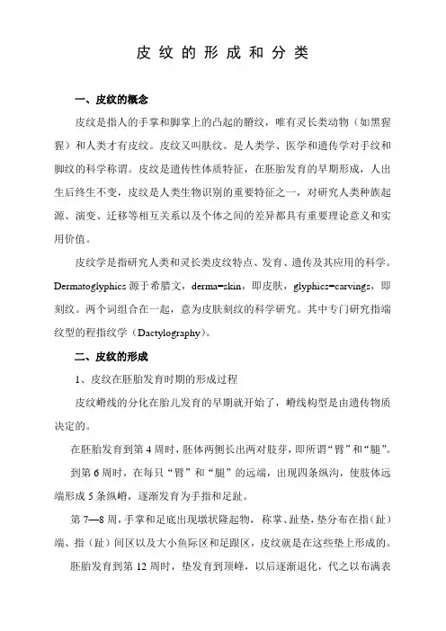 皮纹的形成和分类