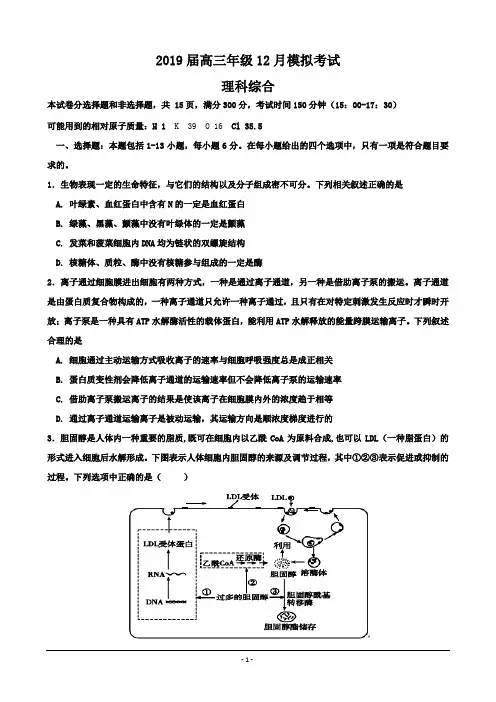 广东省深圳市高级中学2019届高三12月模拟考试理科综合---精校 Word版含答案