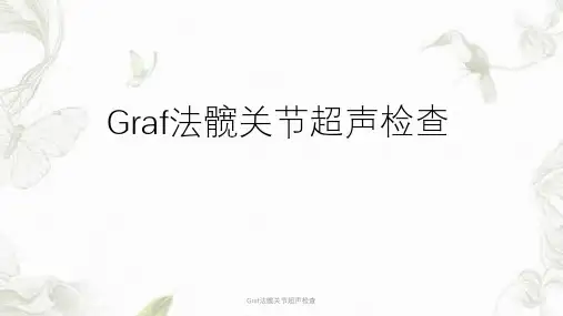 Graf法髋关节超声检查ppt课件