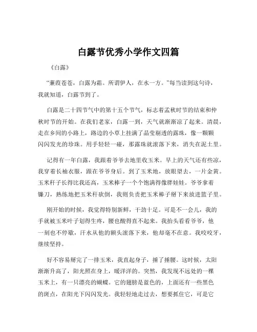 白露节优秀小学作文四篇