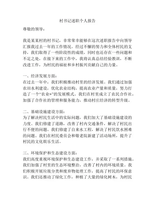 村书记述职个人报告