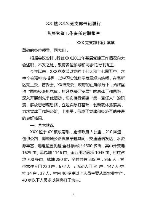 村书记述职报告