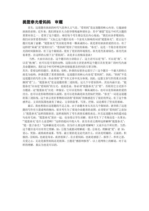 07年提篮春光看妈妈