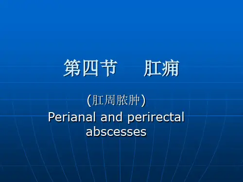 肛痈(肛周脓肿)课件