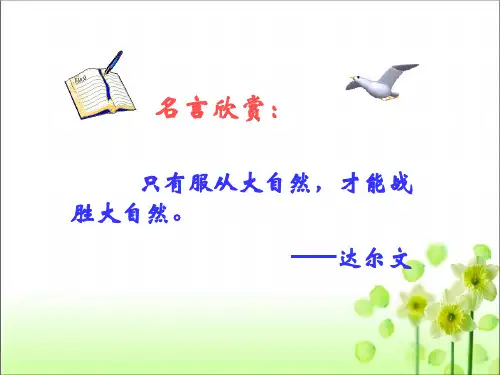 人教版八年级生物 上册 第五单元 第二章 第二节 先天性行为和学习行为 课件(共51张PPT)