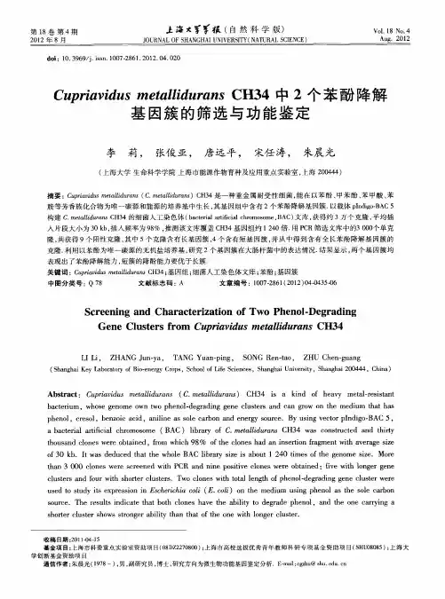 Cupriavidus metallidurans CH34中2个苯酚降解基因簇的筛选与功能鉴定