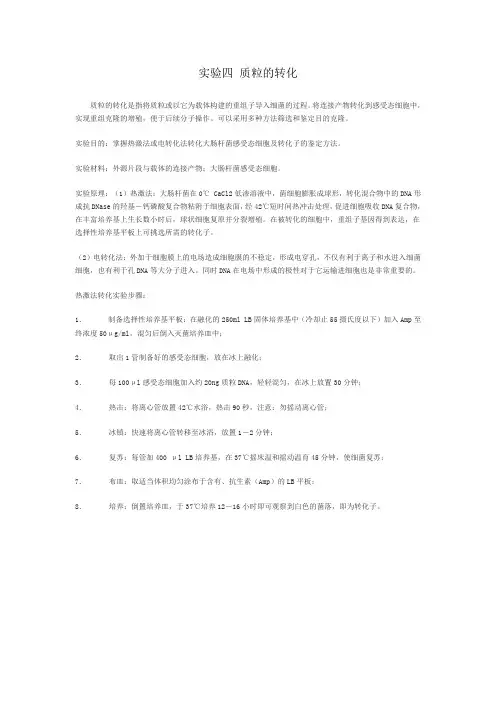 (完整word版)质粒的转化(热激法)