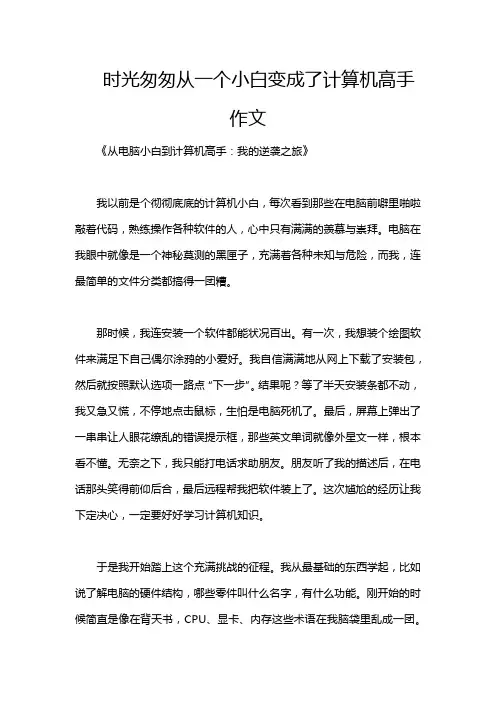 时光匆匆从一个小白变成了计算机高手作文