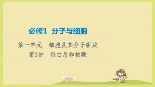 必修1 第1单元 第3讲 蛋白质和核酸