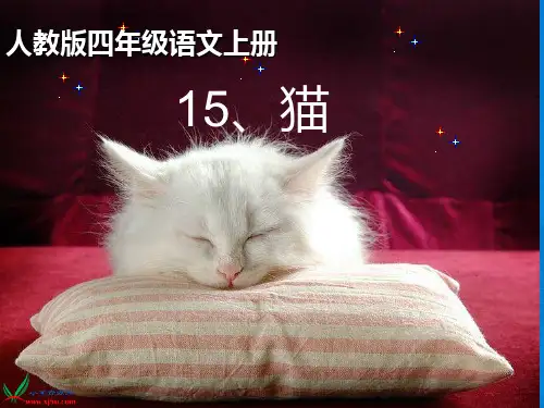 《猫》说课稿PPT课件