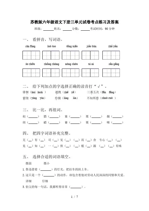 苏教版六年级语文下册三单元试卷考点练习及答案