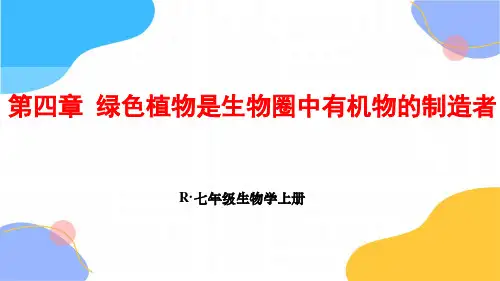 生物人教版七年级(上册)第四章绿色植物是生物圈中有机物的制造者(2024版新教材)