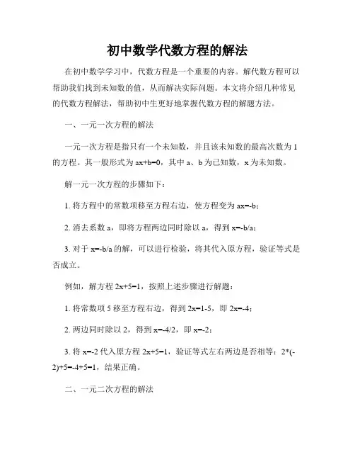 初中数学代数方程的解法