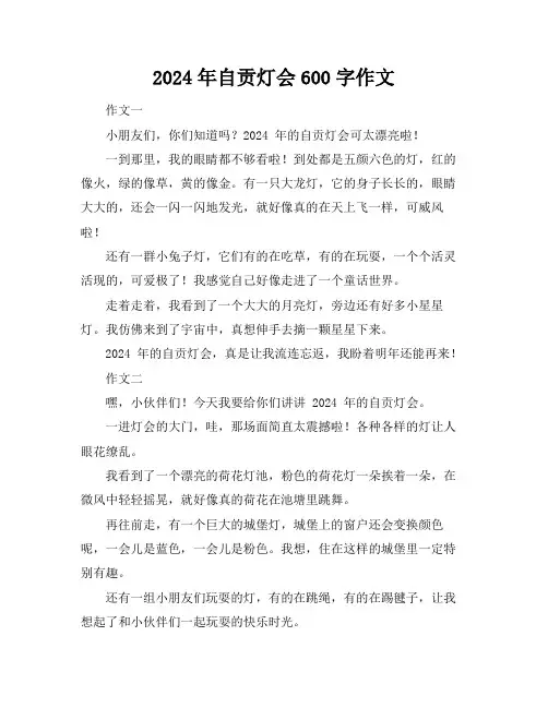 2024年自贡灯会600字作文