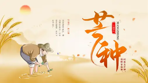 二十四节气芒种PPT模板