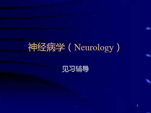 神经病学脊髓病变PPT课件