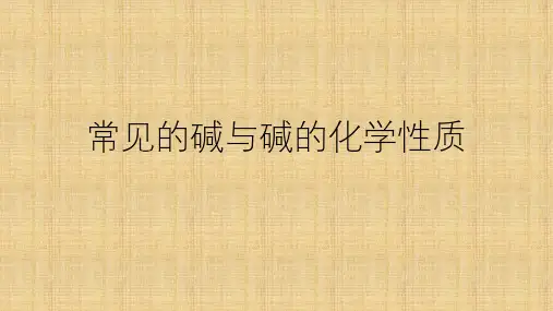 人教版九年级下册化学常见的碱与碱的化学性质课件共17张PPT