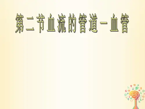 七年级生物下册4.4.2《血流的管道—血管》课件(新版)新人教版