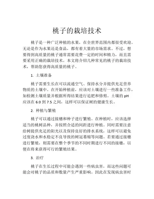 桃子的栽培技术
