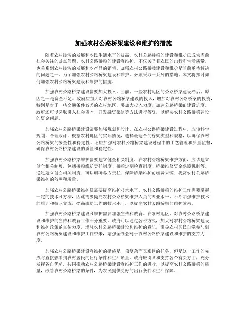 加强农村公路桥梁建设和维护的措施