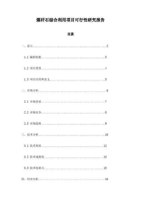 煤矸石综合利用项目可行性研究报告