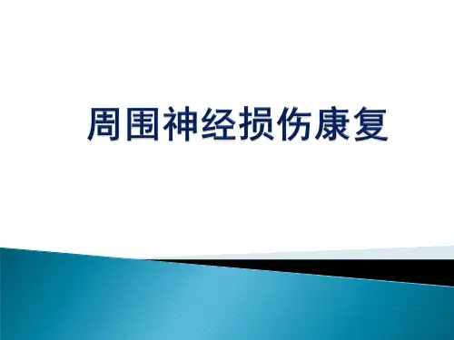 周围神经损伤的康复---PPT精品课件