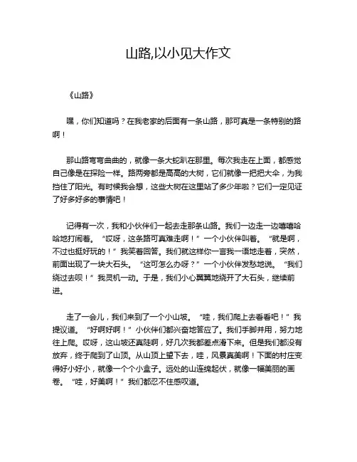 山路,以小见大作文