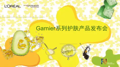 产品发布会(ppt样本)