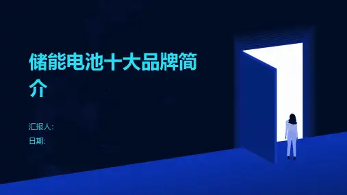 储能电池十大品牌简介