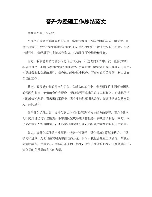 晋升为经理工作总结范文