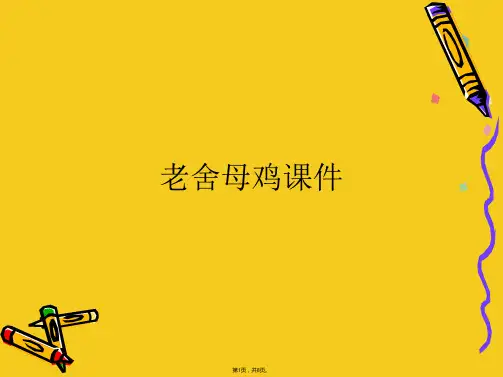 老舍母鸡课件(共8张PPT)