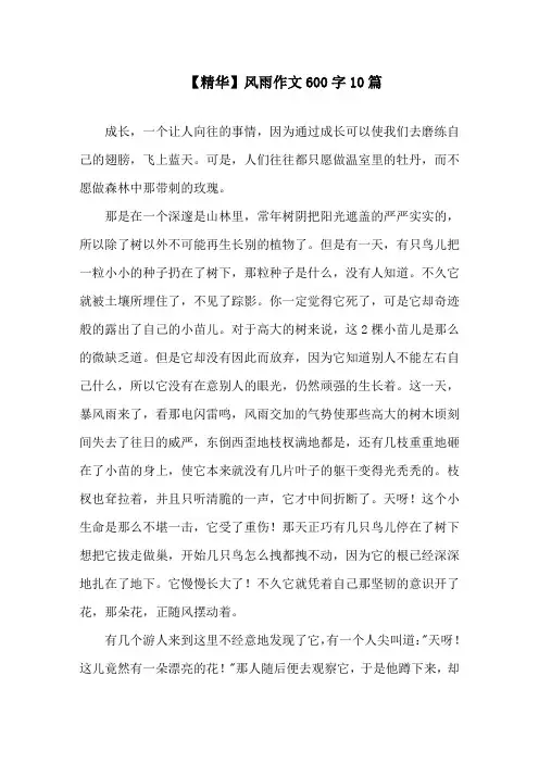 风雨作文600字10篇精选