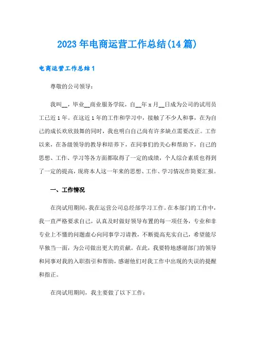 (精编)2023年电商运营工作总结(14篇)