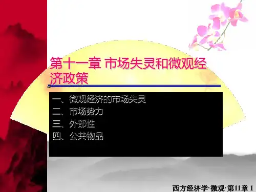 第十一章-市场失灵和微观经济政策PPT课件