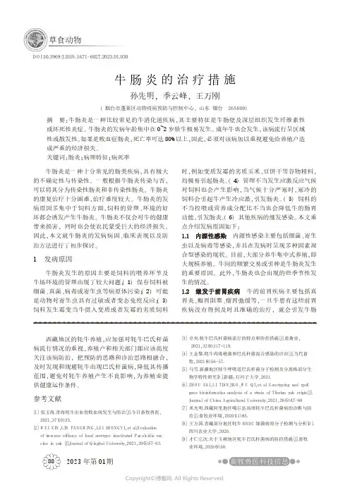 牛肠炎的治疗措施