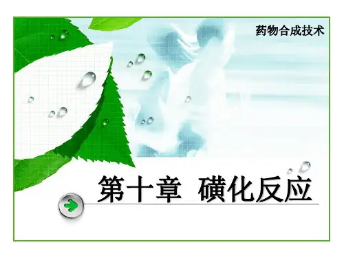 药物合成反应 第十章 磺化反应