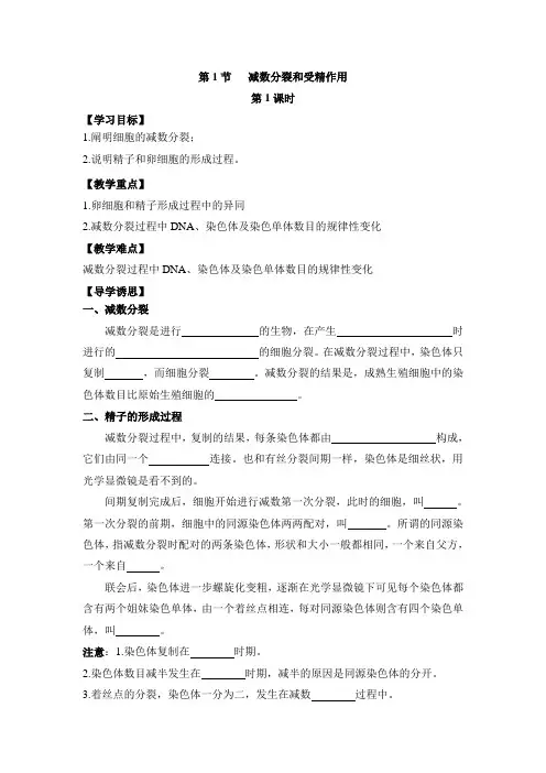 人教版高中生物必修2-2.1《减数分裂和受精作用》第1课时导学案