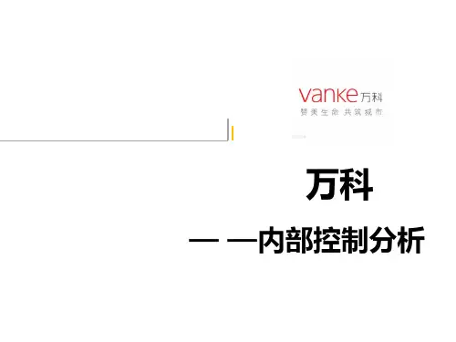 万科-内部控制分析 共30页