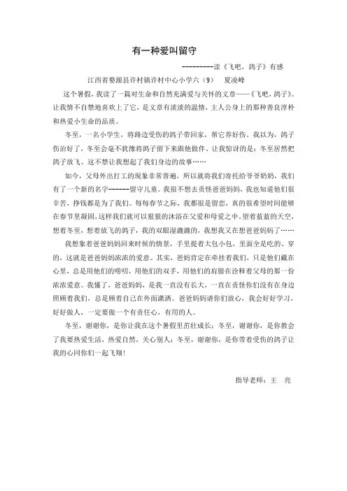 读《飞吧,鸽子》
