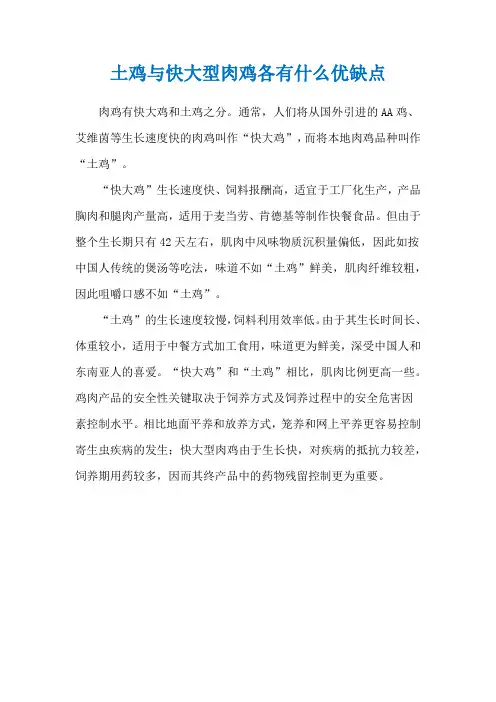 土鸡与快大型肉鸡各有什么优缺点