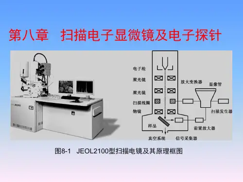 《材料科学研究与测试方法》课程教学课件—08扫描电子显微镜及电子探针